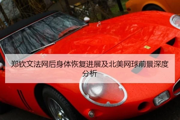 郑钦文法网后身体恢复进展及北美网球前景深度分析